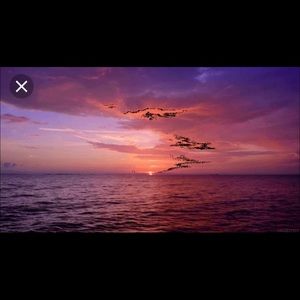 Meet your Posher, Leila